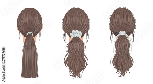 Woman's Brown Ponytail Hairstyles: Simple, Scrunchie, and Ribbon Tie - Back View