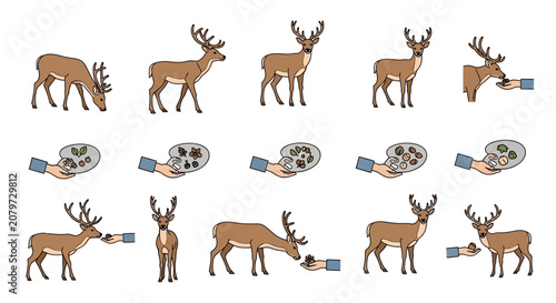 Deer Feeding and Interaction Icons Set