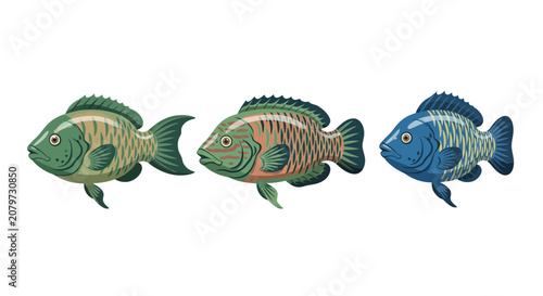 Photography Three colorful fish illustration, diverse aquatic life, vibrant underwater creat