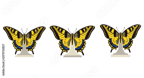 Canvastavla Three Eastern Tiger Swallowtail Butterflies on Display Stands