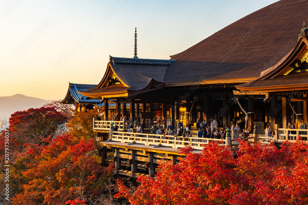 Fototapeta premium 日本の風景・秋 京都 世界遺産 紅葉と夕暮れの清水寺