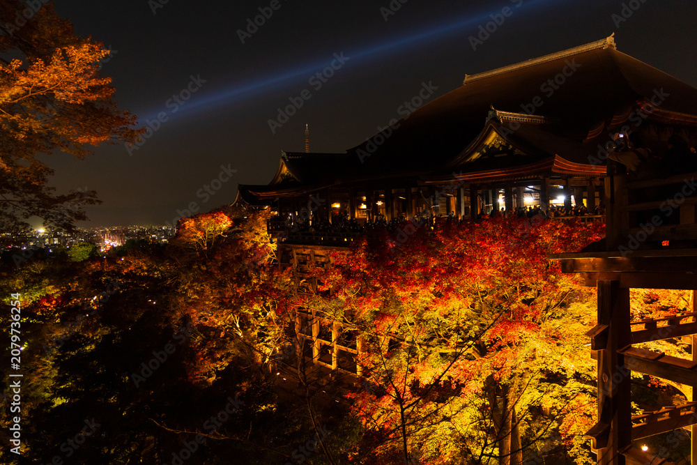 Fototapeta premium 日本の風景・秋 京都 世界遺産 清水寺 紅葉ライトアップ