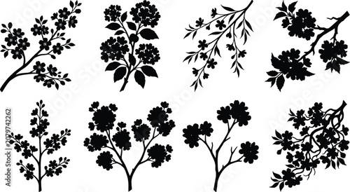Black Silhouette Collection of Flowering Branches Featuring Blossoms, Leaves, and Elegant Botanical Designs