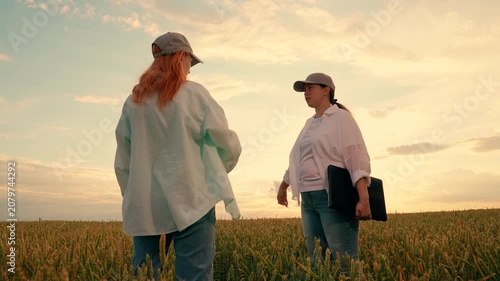 Businesswomen shaking hands in field. Female farmers working wheat field. Business people working in rural area. Business partners, women working together, inspecting grain harvest field. Agricultural