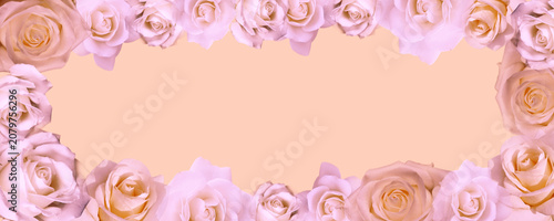 Pastel Pink Rose Floral Border Background with Soft Cream Copy Space, Elegant Romantic Frame
