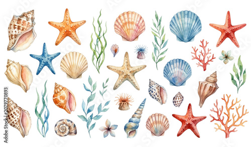 Watercolor Seashells and Starfish Hand Painted Coastal Marine Collection with Underwater Botanical Elements Vector Illustration