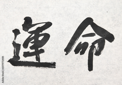 Schilderij op canvas 【運命】 Title 運命 Japanese Brush Calligraphy – Powerful Expression of Fate and Desti