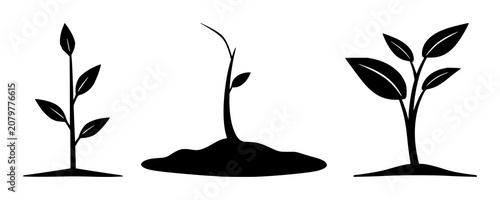 Foto Financial growth plant sprout icon set with simple solid black line illustration