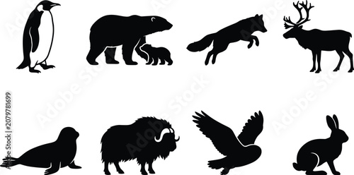Photography Arctic and Antarctic Polar Animals Silhouette Icon Set Vector Illustration Isola