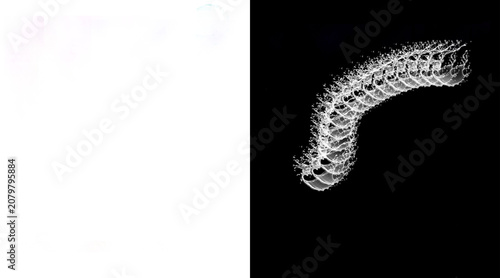 Bild auf Leinwand Intricate 3D rendering of a segmented biological structure resembling a milliped
