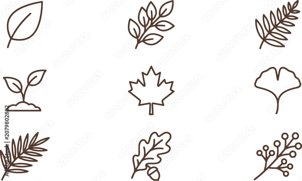 Obraz premium Set of various leaf and plant including maple, ginkgo, fern, oak, and berry branches, rendered in a simple line style on white