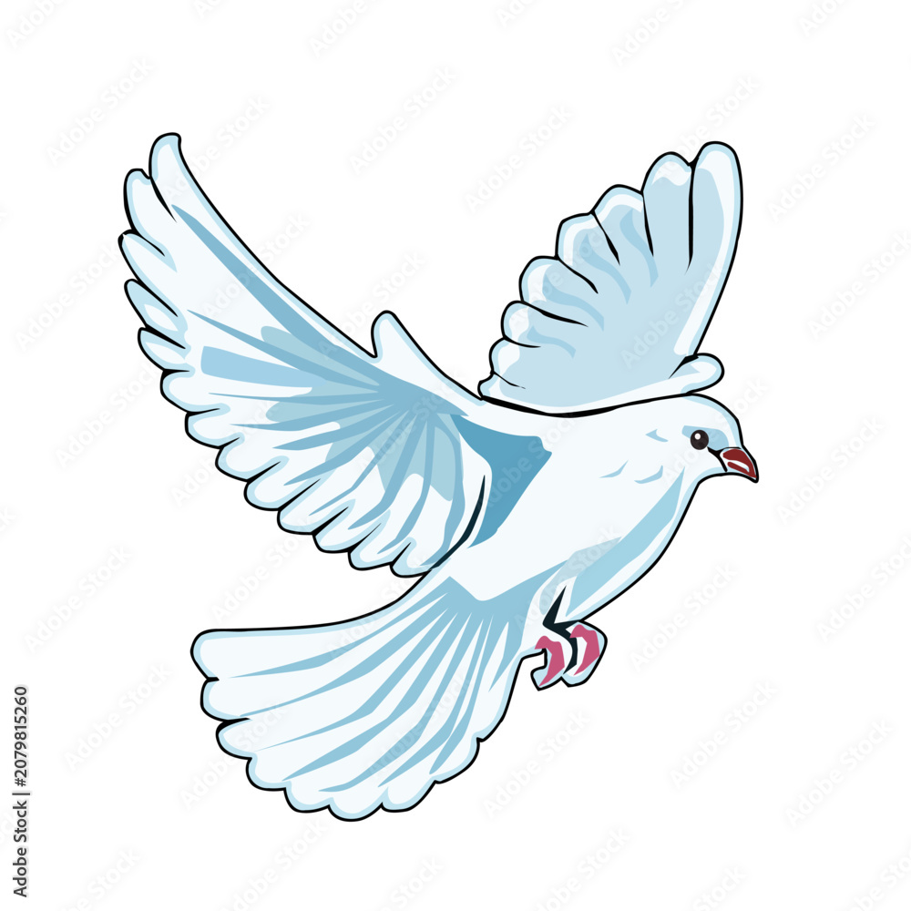 Fototapeta premium Vector illustration of a beautiful white dove soaring in the air with open wings, isolated on a white background. Concept of peace, freedom, and purity.