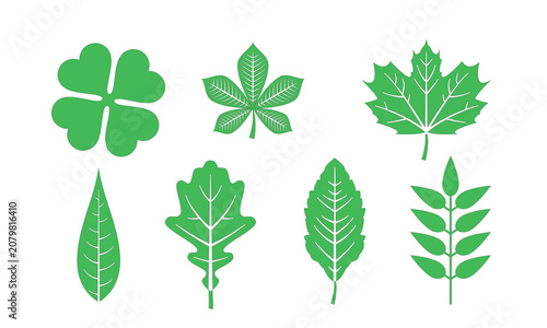 green leaves collection