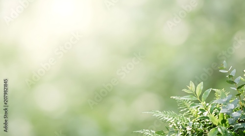 Soft focus greenery background with ferns and eucalyptus natural light and copy space
