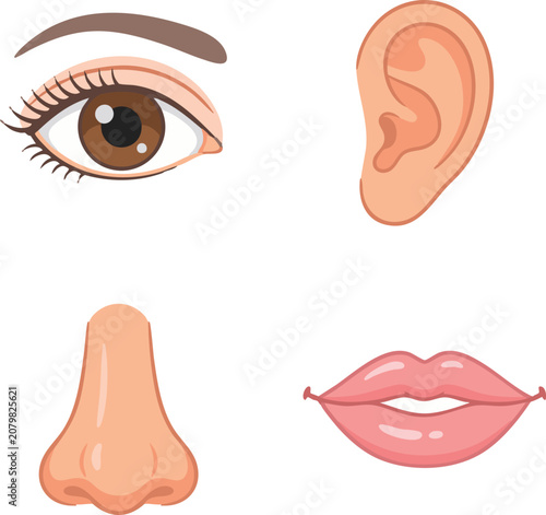 Set of beautiful female eye, nose, ear and shining mouth with glossy lips. Realistic Vector illustration.