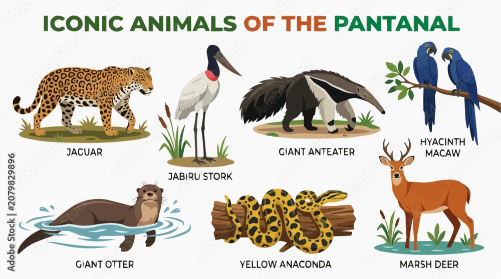 Fototapeta premium Set of animals from the Mato Grosso Pantanal