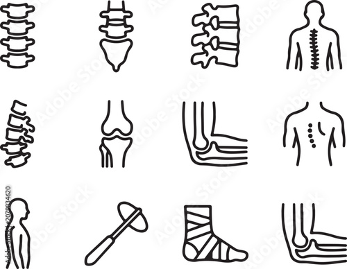 Human spine and body anatomy outline icons.