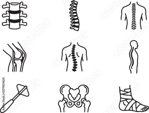 Human spine and body anatomy outline icons.