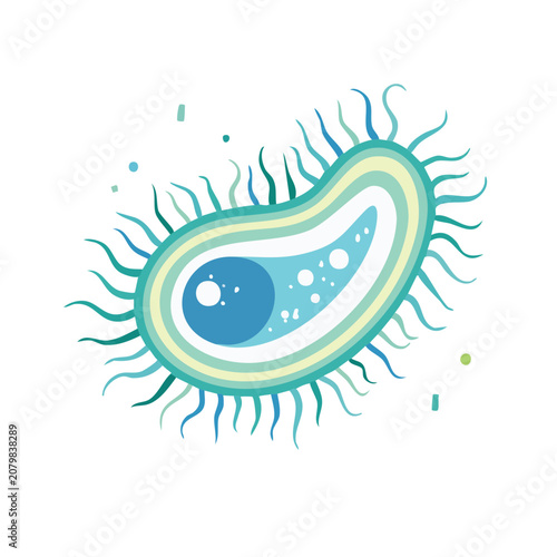 Flat illustration of a single amoeba with nucleus