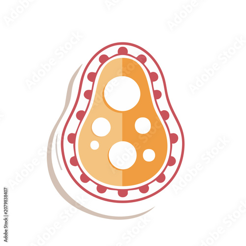 Mitochondrion Vector Illustration