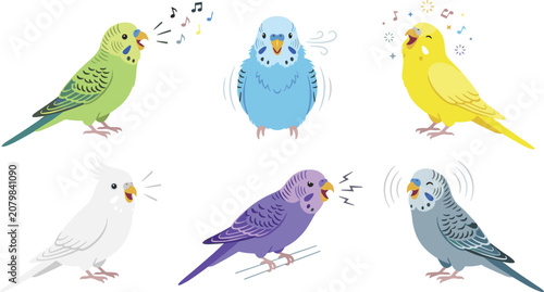 Bild auf Leinwand Colorful Singing Budgerigar Parakeet Vector Illustration Set Featuring Vocal Bud