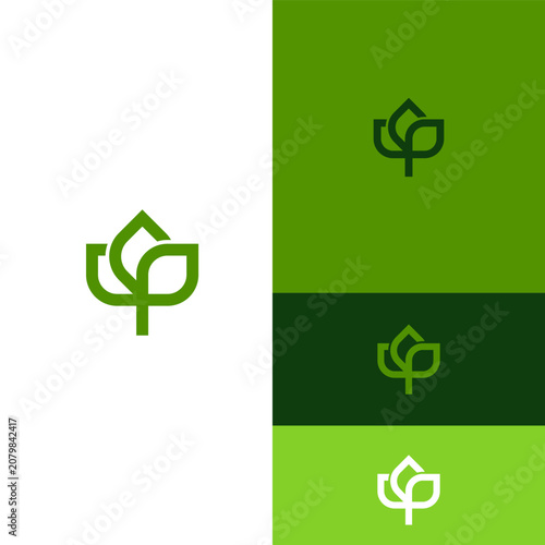Elegant leaf shape logo design set in multiple color variations with environment