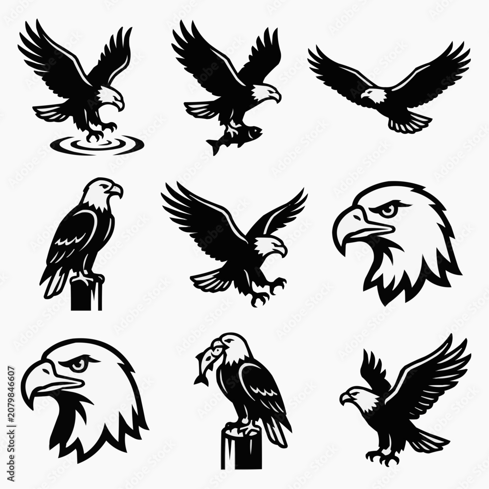 Naklejka premium Eagle Bird Silhouette Icon Set