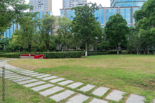 Photography city park with modern building background in shanghai