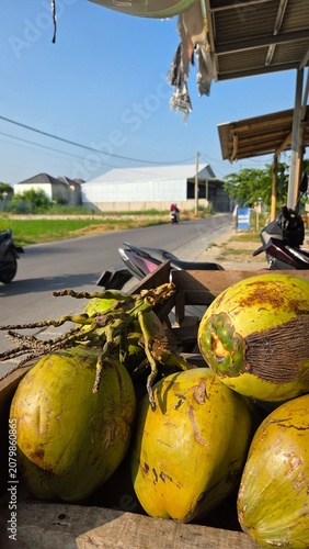 pumpkins for sale at the market