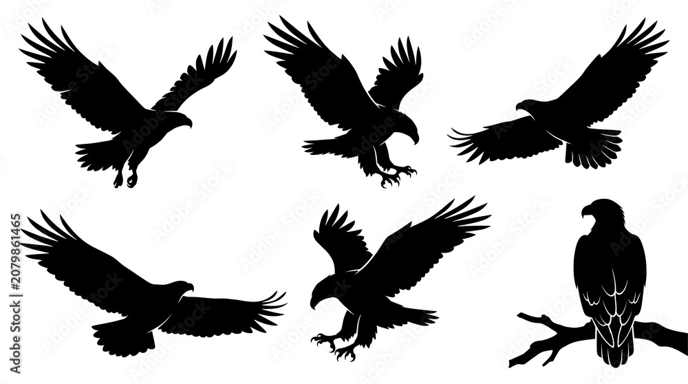 Fototapeta premium Eagle silhouettes collection with birds of prey in flying and perched poses