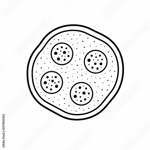 Lysosome Structure Educational Biology Illustration Isolated on White Background