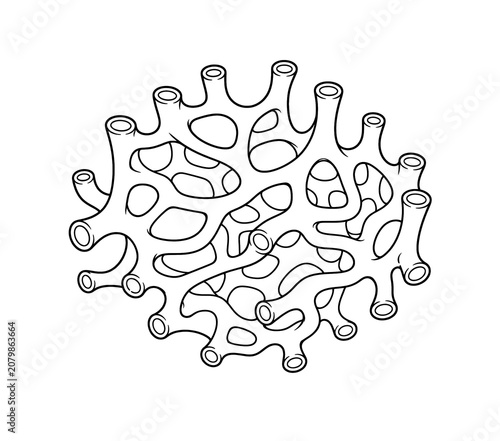 Smooth Endoplasmic Reticulum Structure Educational Biology Illustration Isolated on White Background