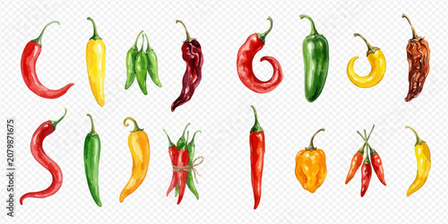 Fotografía Vibrant watercolor illustration of various chili peppers, showcasing different shapes, colors, and spice levels, perfect for culinary and food-related designs
