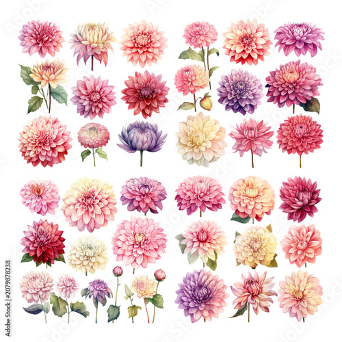Принти на полотні Set of Beautiful Watercolor Dahlia Flowers in Various Colors for Floral Design a