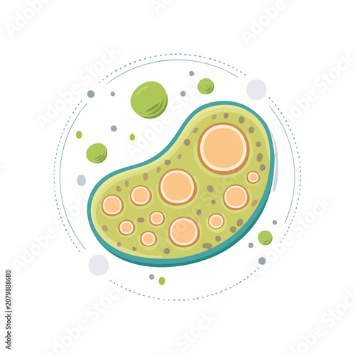 Mitochondrion Vector Illustration