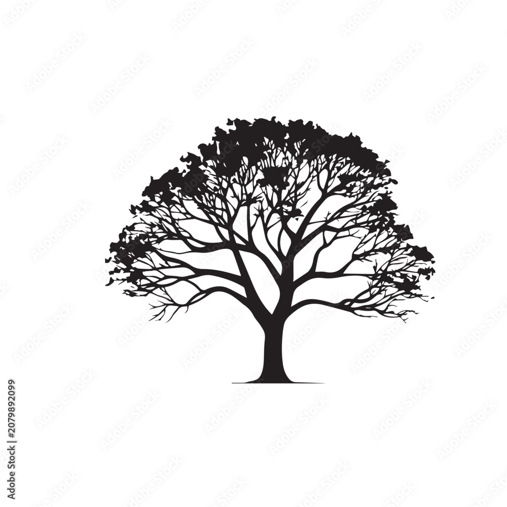Fototapeta premium Black silhouette of a large tree with branches