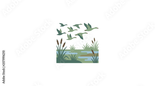 A flock of wild ducks flying over a marshy wetland area.