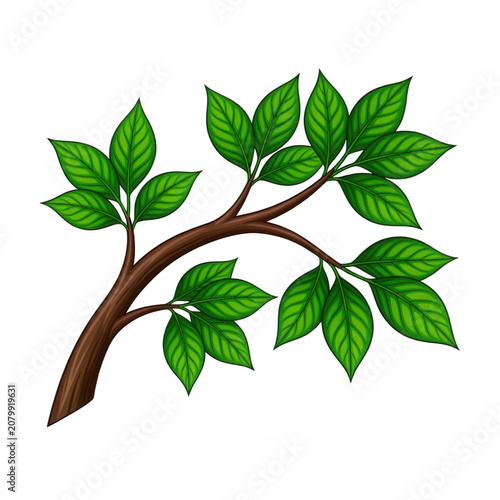 Green Leafy Branch Transparent Background