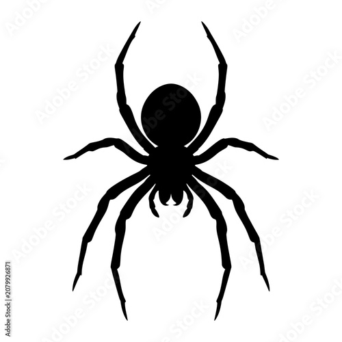 Εκτύπωση καμβά Black spider icon, spider silhouette, creepy crawly symbol, insect logo isolated