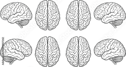 Foto Vintage hand drawn human brain collection showing side and top view angles isola