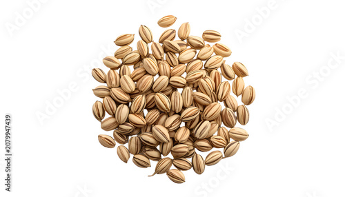 sunflower seeds isolated on white background
