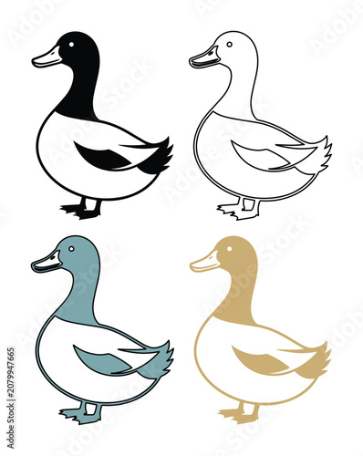 Stylized duck vector illustration set, four distinct duck designs, black and white outline, teal and gold color variations, simple animal graphic for children's books and nature themes