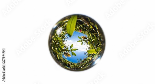 Crystal glass sphere reflecting nature and blue sky.