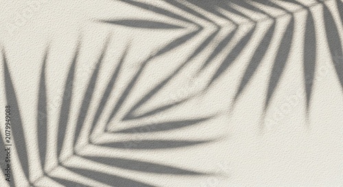 Abstract palm leaf shadows on a neutral beige background.