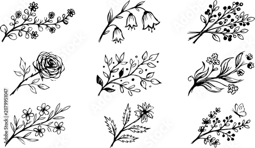 Botanical floral illustrations of various flowers and leaves in black lines on white background
