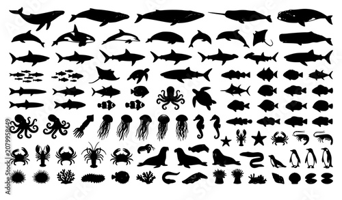 Bilde på lerret Marine Animal Silhouette Set with Ocean Wildlife and Aquatic Species Icons