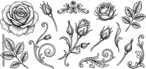 Detailed hand-drawn vintage rose and floral ornament elements in black ink on a white background for elegant design