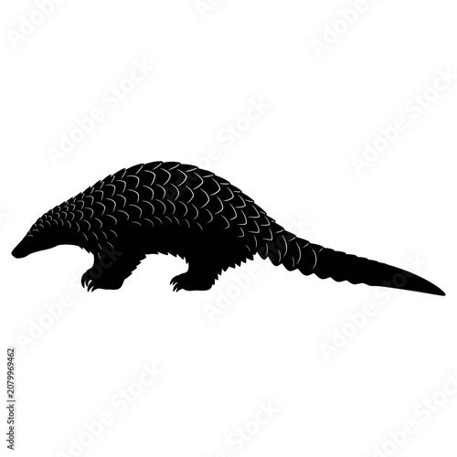 Pangolin silhouette captured in a high contrast artistic style representing this unique scaly mammal in a clear and detailed profile view that highlights the natural shape of the exotic creature.