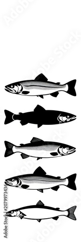 Simple Black Silhouette Icons of Fish Including a Trout and a Salmon, wildlife, aquatic
