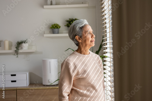 Senior woman window sunlight home portrait, calm elderly Asian female standing by window blind in bright room with plant, shelf, cabinet, and soft natural light